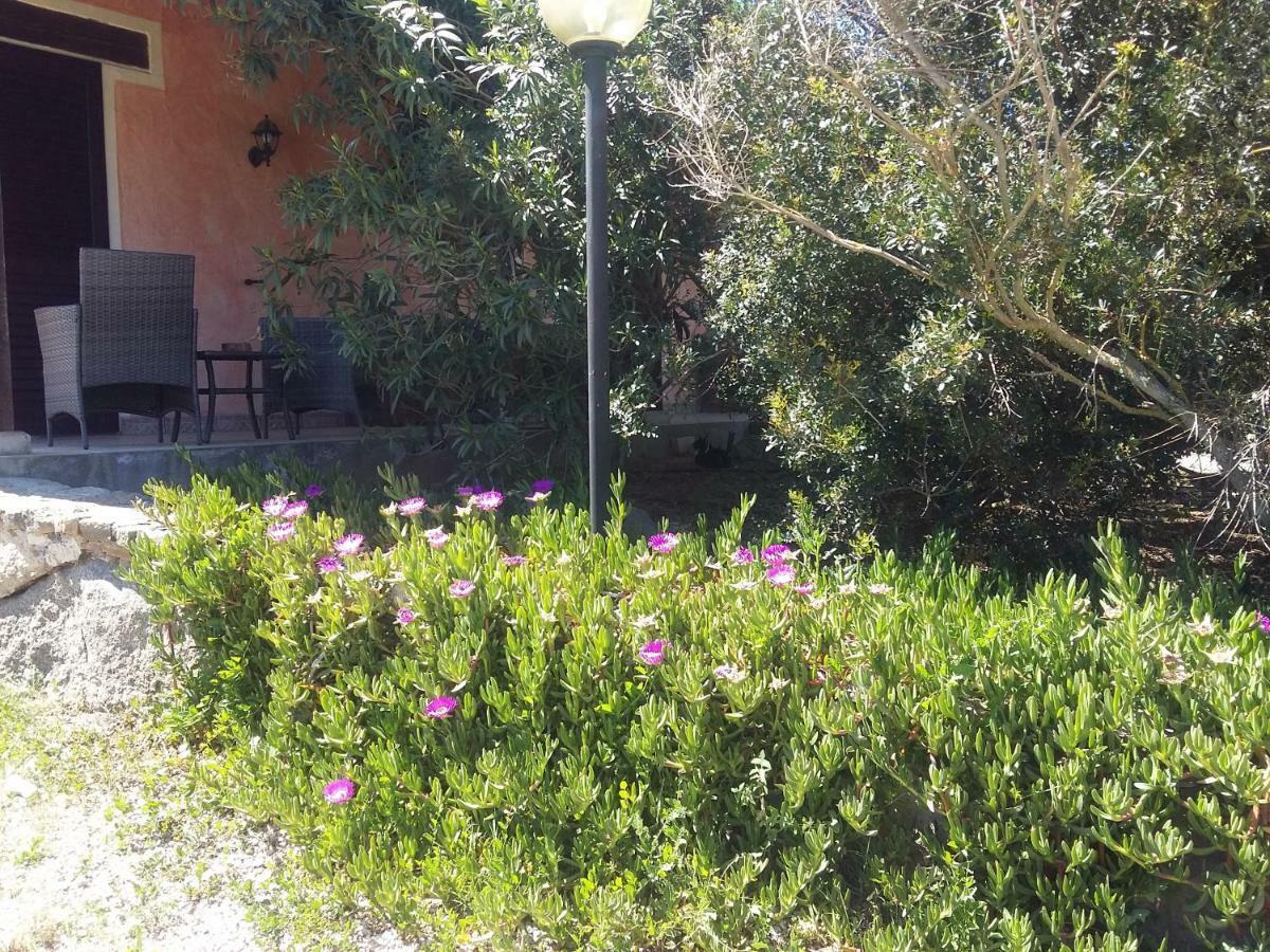 Agriturismo Pedru Caddu Alloggio per agriturismo Tula
